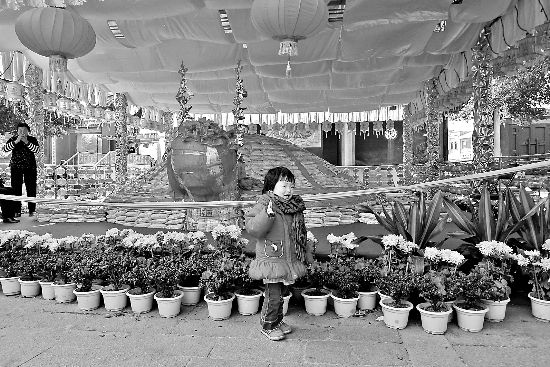 明天到霞洲妈祖宫“乞龟”吧(图)