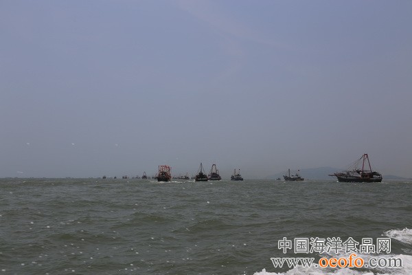 点击打开原图 图为开渔出海场面