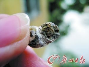 三水盆地以前系海？(组图)