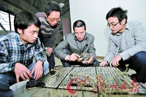 独家直击 潜探“南海I号”(组图)