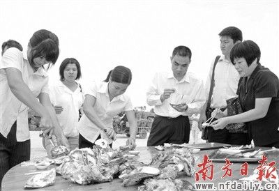 阳江一举签下4.5亿元生蚝订单