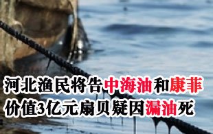 河北350万笼扇贝疑因漏油死 渔民将告中海油