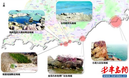 青岛前海又现违法鲍鱼池几十个池子排成排(图)
