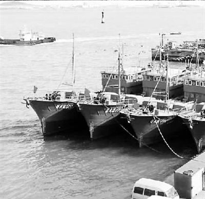 渤海湾捕鱼乱象