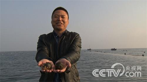 [致富经]吃苦吃出来的财富
