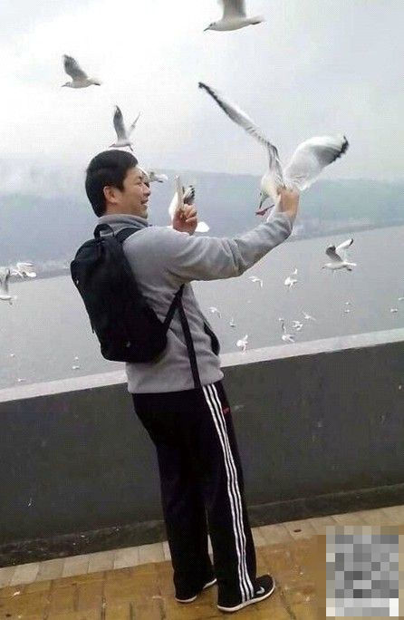 昆明游客抓海鸥自拍 海鸥挣扎游客笑开花(图)