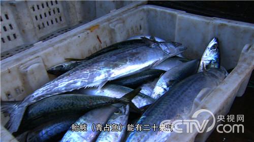 颠覆传统 赚不一样的钱