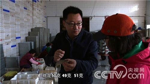 颠覆传统 赚不一样的钱