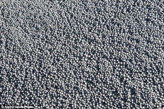 为了保护海洋生物，磨砂洗面奶、沐浴露和牙膏中的塑料微粒将逐渐停止使用。这种微小的颗粒甚至能穿过水过滤装置，并一直流向海洋。