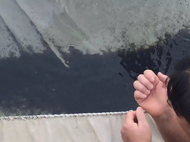 按此在新窗口浏览图片