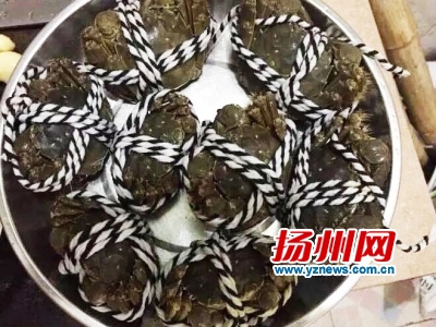 按此在新窗口浏览图片